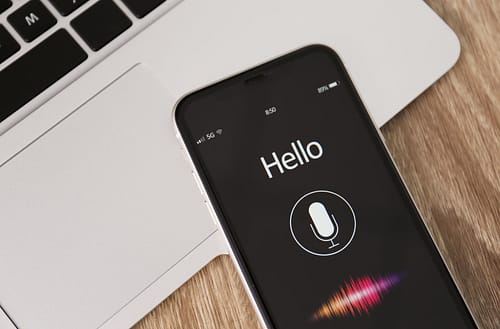 Holistic SEO Strategy: Integrating Voice Search and Textual SEO with Local SEO Pro